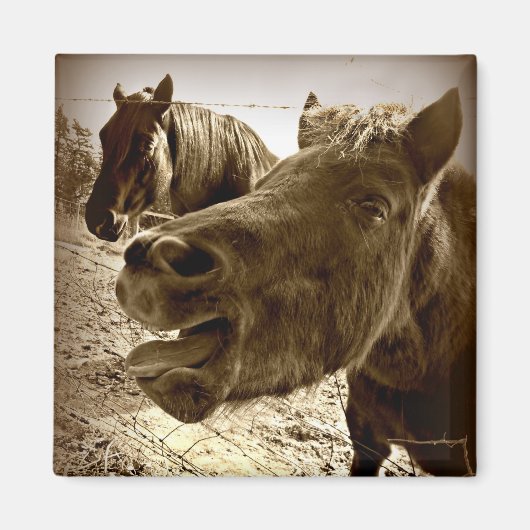 友実在人 マグネット (正面)