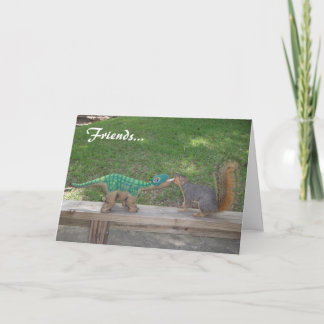 友情およびナット カード