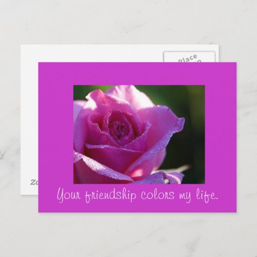 友情が私の人生を彩る ポストカード (正面/裏面)