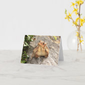 友情のカエルの足のグリーティングカード カード (黄色い花)