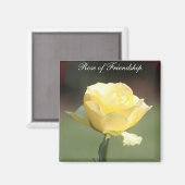 友情のバラ マグネット (正面/裏面)