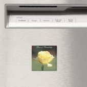 友情のバラ マグネット (インサイチュ (食洗機))