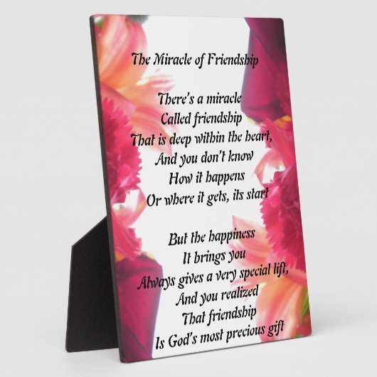 友情のプラークの奇跡 フォトプラーク (側面)