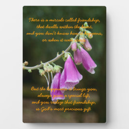 友情の奇跡 フォトプラーク