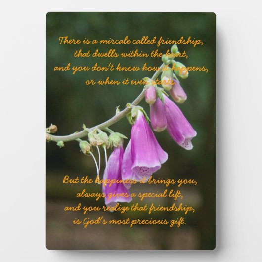 友情の奇跡 フォトプラーク (正面)