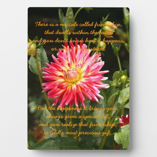 友情の奇跡 フォトプラーク (正面)