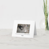 友情の子犬のユーモア カード (裏面)