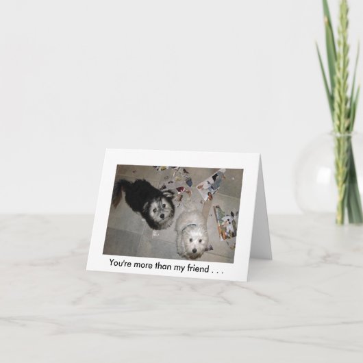 友情の子犬のユーモア カード (正面)