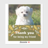 友情の日 シール (シート)