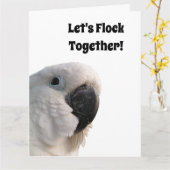 友情の日Cockatoo Flock Together写真おもしろい カード (黄色い花)