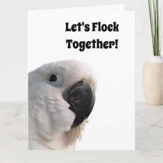 友情の日Cockatoo Flock Together写真おもしろい カード