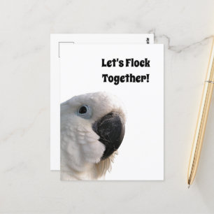 友情の日Cockatoo Flock Together写真おもしろい ポストカード