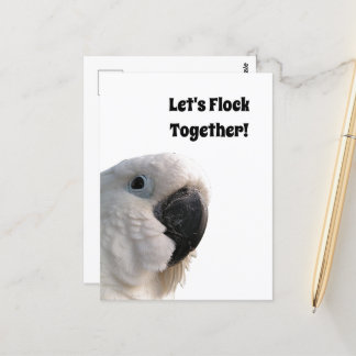 友情の日Cockatoo Flock Together写真おもしろい ポストカード