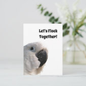 友情の日Cockatoo Flock Together写真おもしろい ポストカード (スタンド正面)