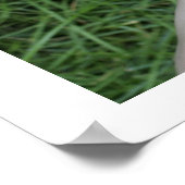 友情の星 ポスター (角)