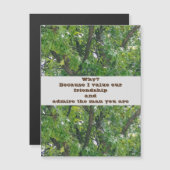 友情の磁気グリーティングカードを鑑賞 (正面/裏面)