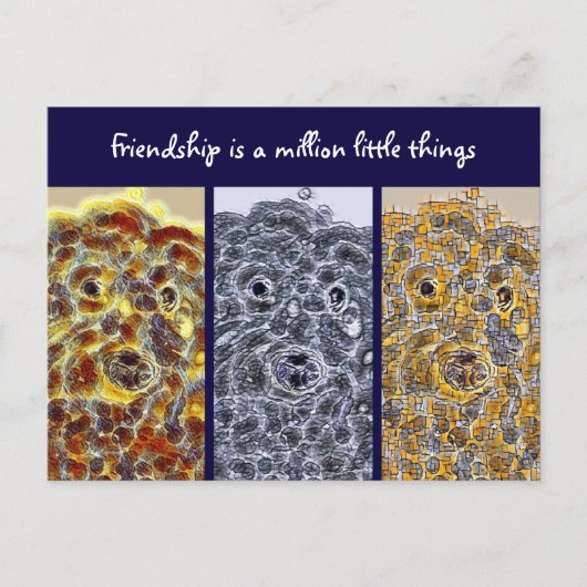 友情はがきドッグモダン抽象芸術アート ポストカード (正面)