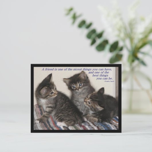 友情はがき ポストカード (スタンド正面)