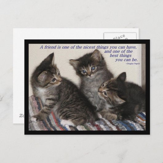 友情はがき ポストカード (正面/裏面)