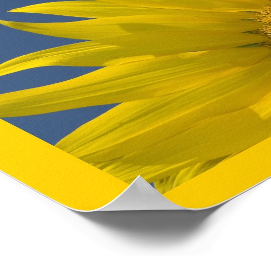 友情ひまわり ポスター (角)