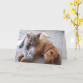 友情カード カード (黄色い花)