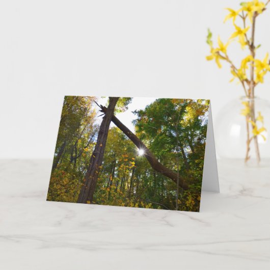 友情カード カード (黄色い花)