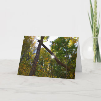 友情カード カード