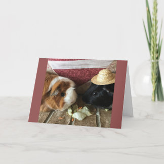 友情カード カード