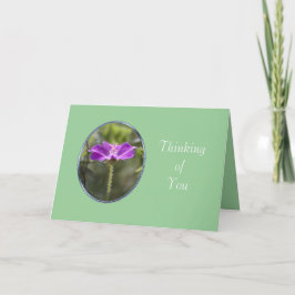 友情カード カード