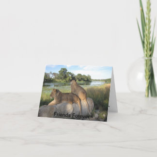 友情カード カード