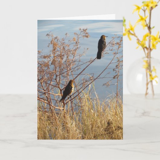 友情カード – Backyard Birds - Grackles カード (黄色い花)