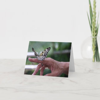 友情ノートカード カード