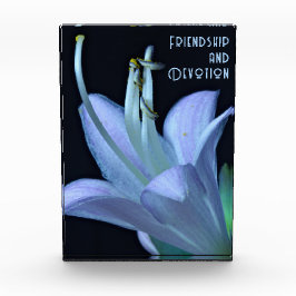 友情パーソナライズされた紫色の花がクローズアップ フォトブロック