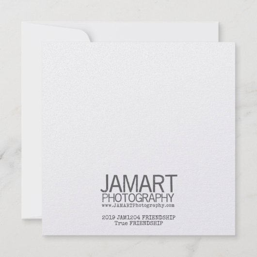 友情5.25 x 5.25カード 招待状 (裏面)