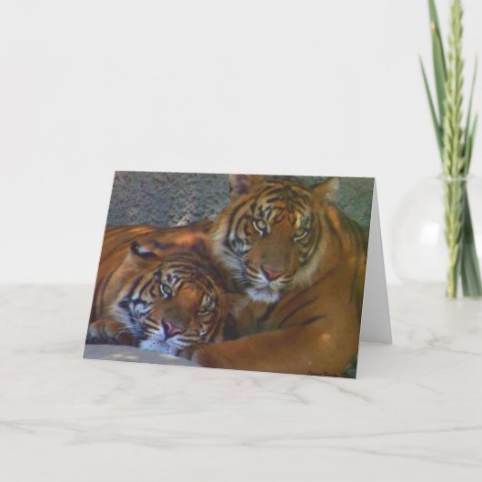 友情 / どんな場面にも使えるカード カード (正面)