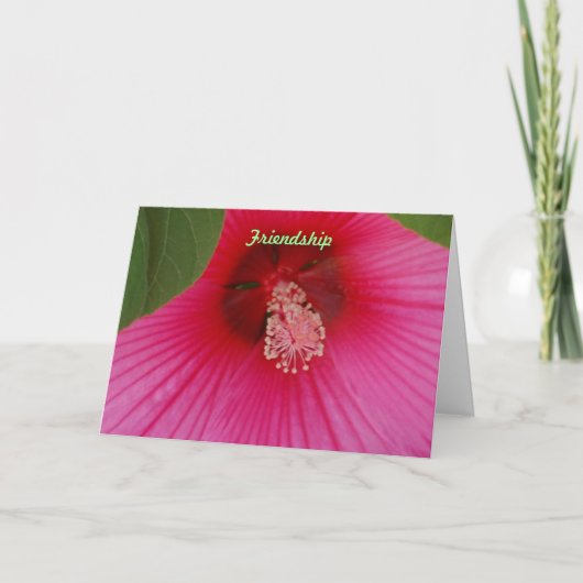 友情 カード (正面)