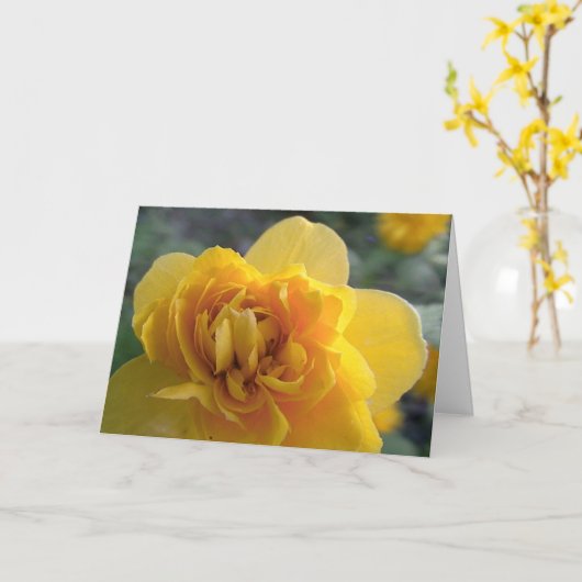 友情 カード (黄色い花)