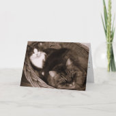 友情 カード (正面)