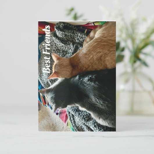 友情 サンキューカード (スタンド正面)