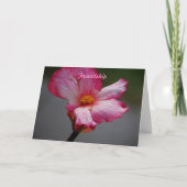 友情 シーズンカード (正面)