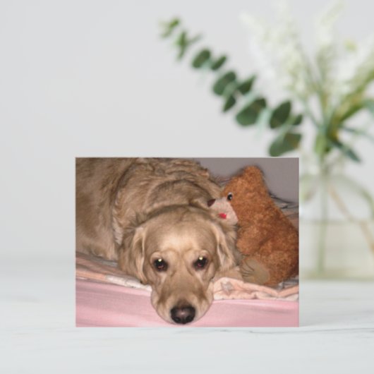 友情 ポストカード (スタンド正面)