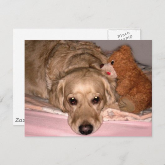 友情 ポストカード (正面/裏面)