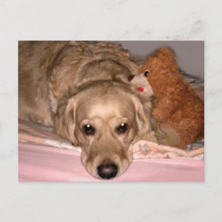 友情 ポストカード