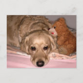 友情 ポストカード (正面)