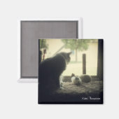 友情 マグネット (正面/裏面)