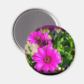 友情 マグネット (正面/裏面)