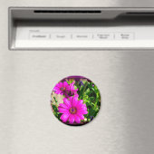 友情 マグネット (インサイチュ (食洗機))