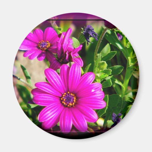 友情 マグネット (正面)