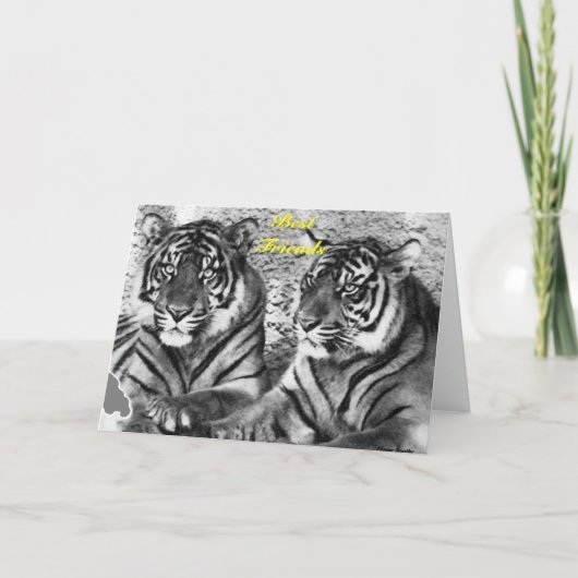 友情(_C) カード (正面)