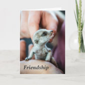 友情- FKMPの季節のごあいさつ シーズンカード (正面)